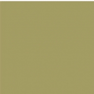 Pigment 41
