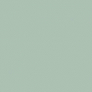 Ceramica culoare aloe, mat