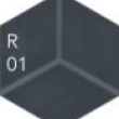 R01