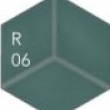 R06