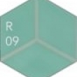 R09