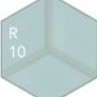 R10