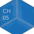 CH05