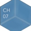 CH07