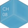 CH08