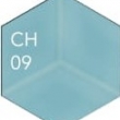 CH09