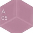 A05