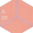 A09